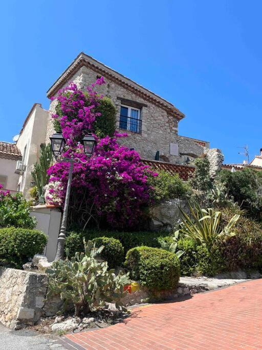 Moringa - New Unit For 2 Ac Close To Beach Antibes Exteriör bild